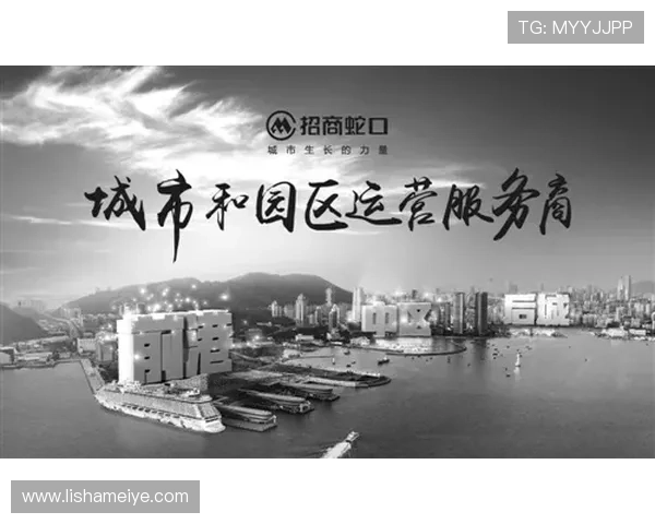 围绕老湿第二部展开的都市奇遇与情感成长故事新篇章旅程