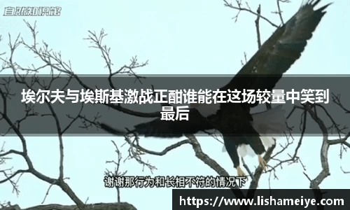 埃尔夫与埃斯基激战正酣谁能在这场较量中笑到最后
